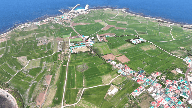 Coastal village with green fields
