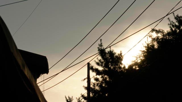 Power lines and trees against the setting sun