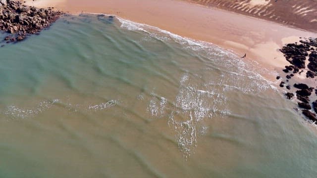 잔잔한 파도가 밀려드는 평화로운 해변가