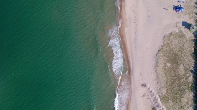 People Enjoying a Beach Day