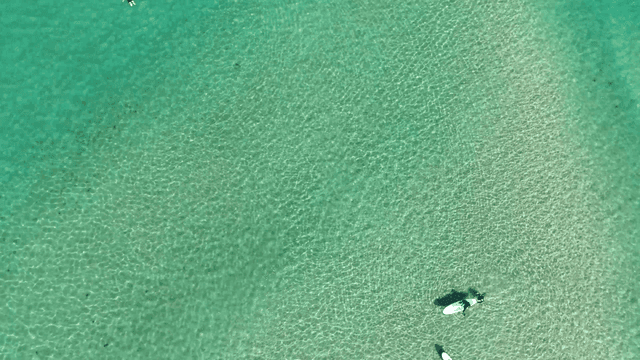 맑은 물 위에서 패들보드를 타는 사람들