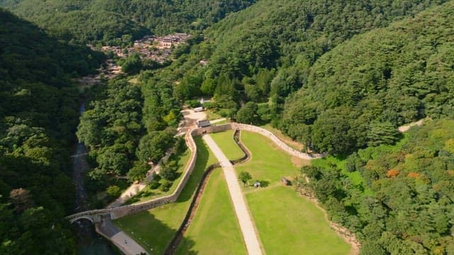 푸른 나무와 숲이 보이는 광활한 풍경