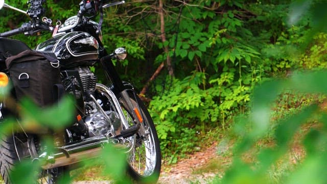 Black motorcycle parked in a forest full of green bushes