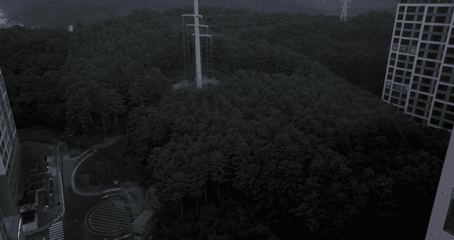 숲으로 둘러싸인 고층 아파트