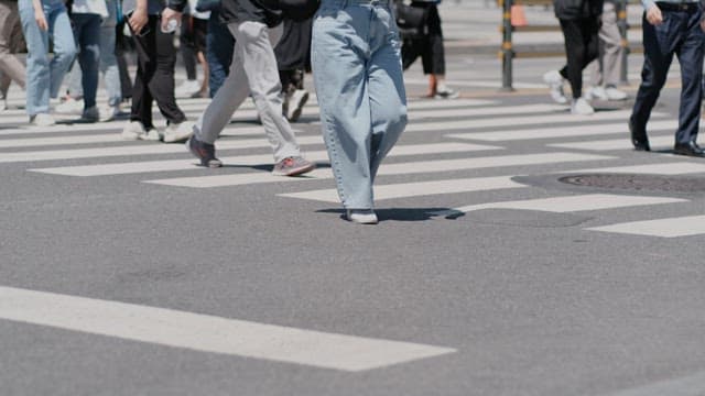 낮 시간 도심 속 분주한 횡단보도