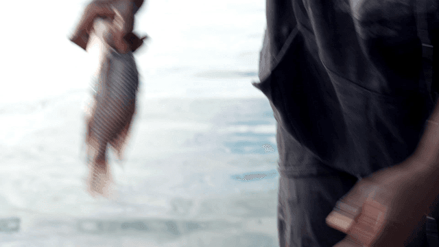 배 위에서 물고기를 그물에서 빼는 어부