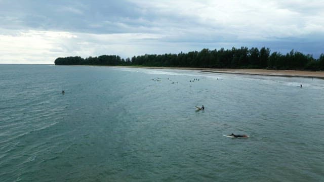 Surfers paddling in the ocean near the shore