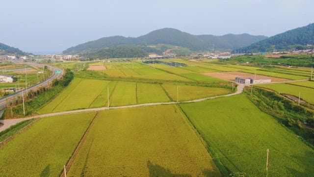 Expansive farmland with distant mountains