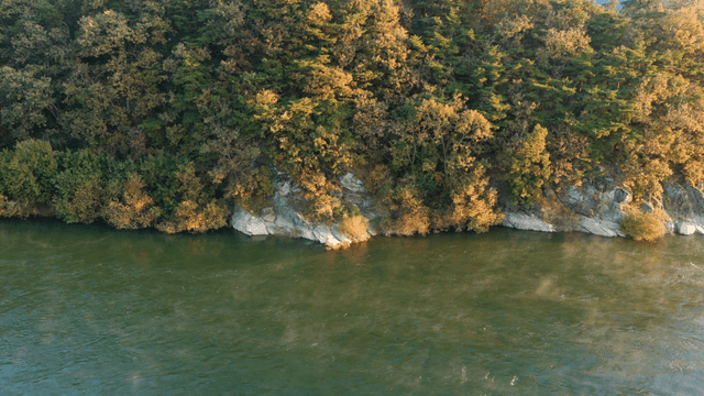 숲이 우거진 절벽 옆으로 흐르는 고요한 강