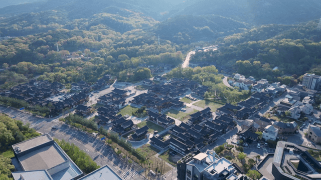 Sunlit hanok village surrounded by trees