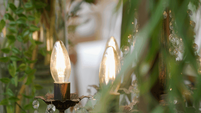 실내의 녹색 잎과 빛나는 조명