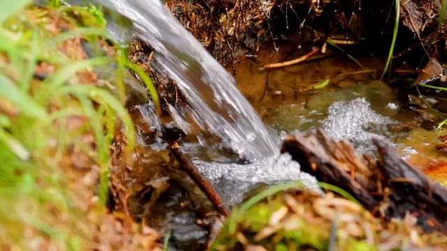 Flowing clear stream through a forest creek