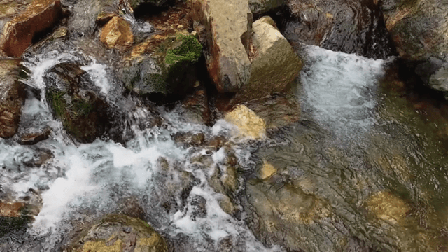 이끼 낀 바위를 흐르는 시냇물