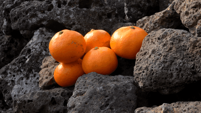Tangerines placed on volcanic rock