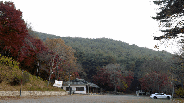Traditional Hanok under autumn forest