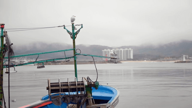 Seagulls resting on a fishing boat