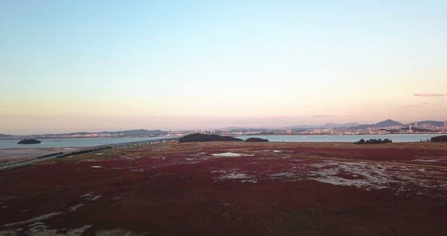 Vast field with a distant city skyline