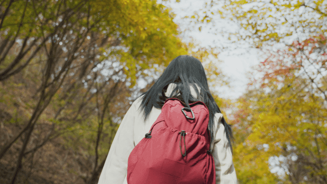 Backpacking woman hiking up autumn trail