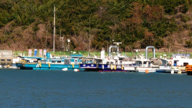 Boats anchored at a calm seaside dock