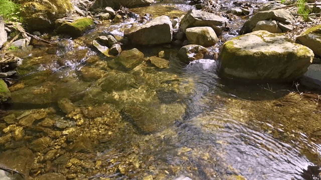 Clear stream flowing over rocks