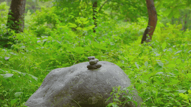 돌이 쌓인 고요한 숲
