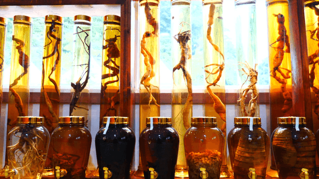 Displayed Old Infusion Liquors