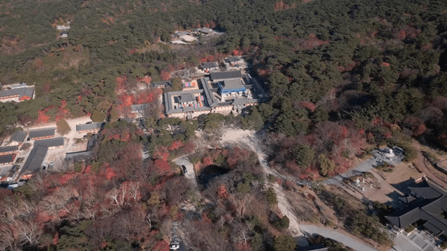 Traditional Korean temple surrounded by forest