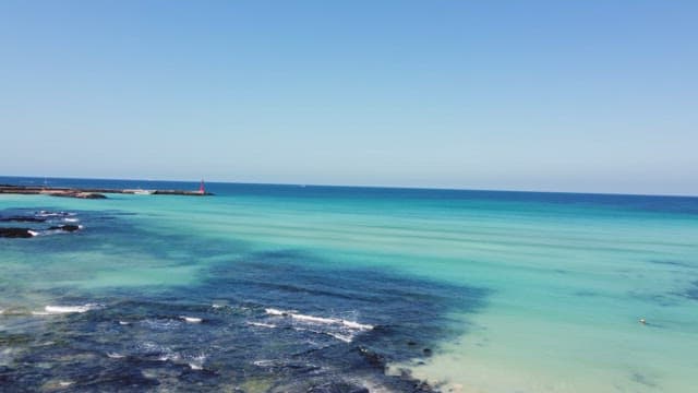 Serene beach with clear blue water