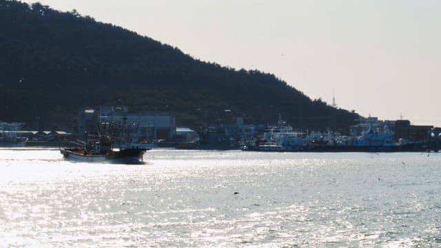 Fishing boats approaching the dock in the late afternoon, with trees and industrial buildings in the