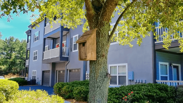 Tree with birdhouse near modern house
