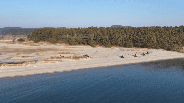 ATVs riding along a sandy beach