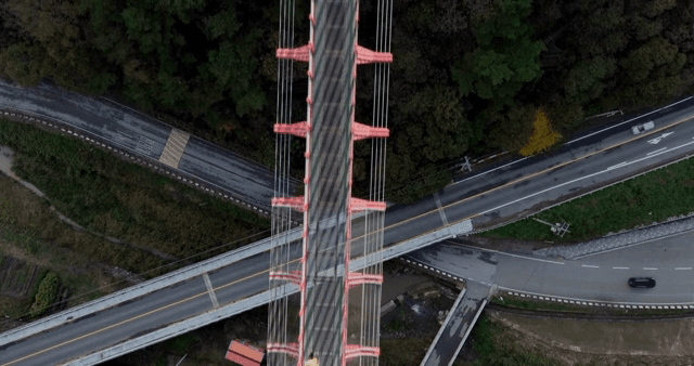 숲 위의 다리를 내려다본 모습