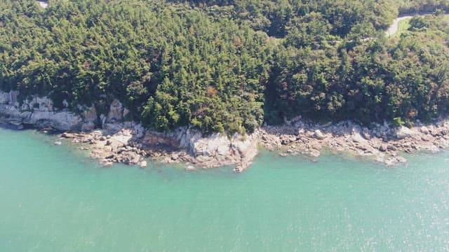 Rocky coastline with lush green forest