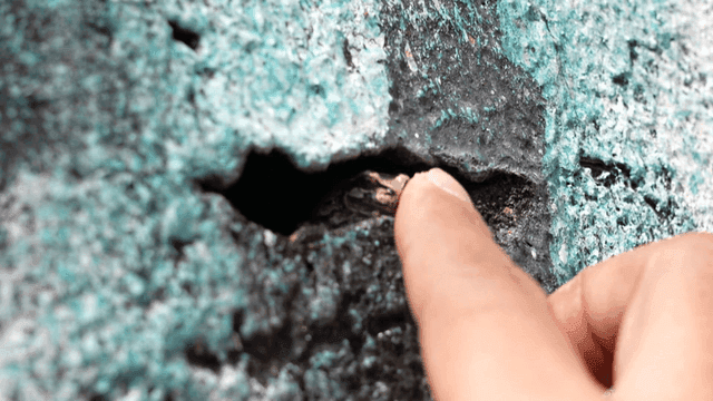 Fingers touching small frog in crack in wall