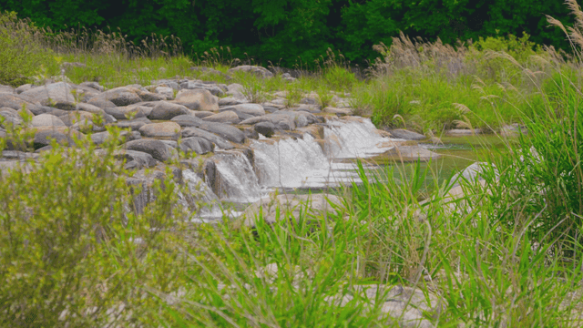 쌓인 돌이 있는 고요한 강