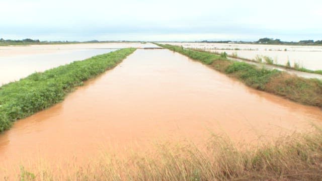 Flooded rural area with overcast skies