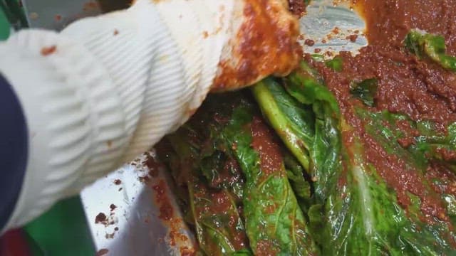장갑을 낀 손으로 매운 양념을 녹색 채소에 버무리는 모습