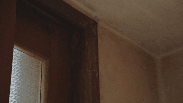 거미줄이 있는 오래된 나무 창틀