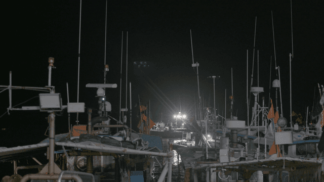 Fishing boats docked at night