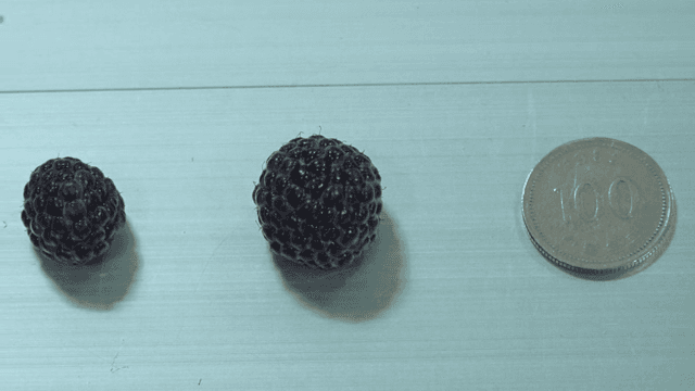 Black raspberries and a 100 won coin on a table