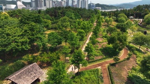 Lush park with walking paths and city view