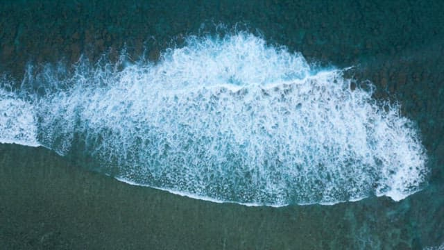 Blue Waves Heading to Coast with Coral Forests