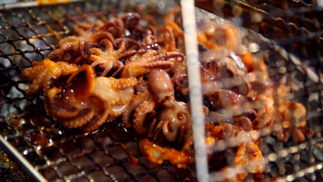 Grilled webfoot octopus grilled on the grill