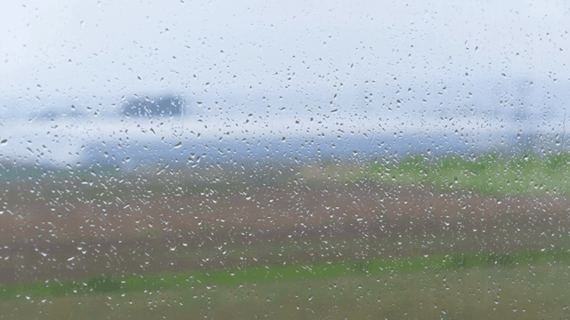 비 오는 날의 온실과 들판 풍경