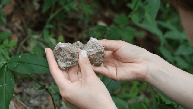 숲에서 돌을 살펴보는 손