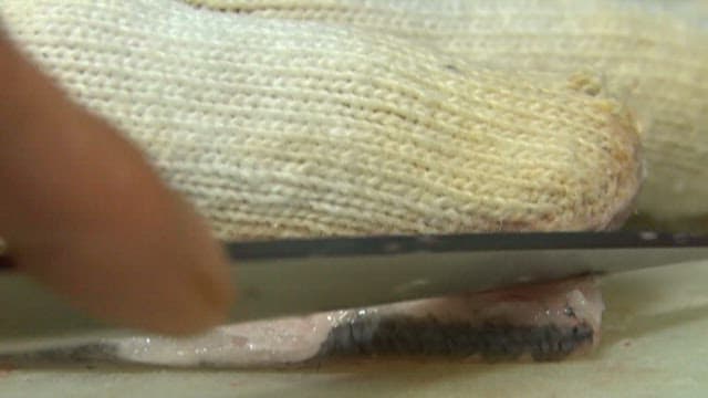 횟집 주방 도마 위에서 손질되는 밴댕이회