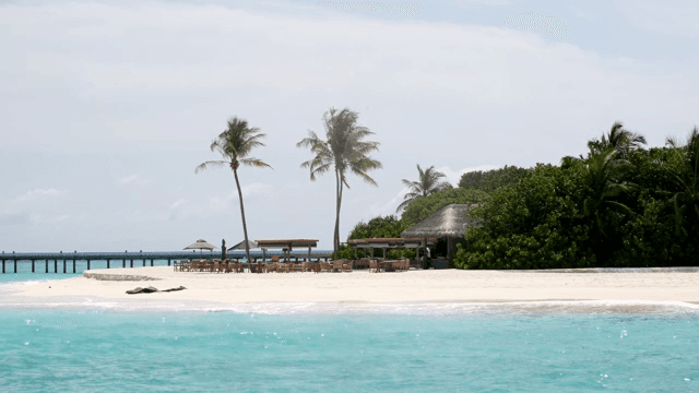 야자수와 오두막이 있는 고요한 해변