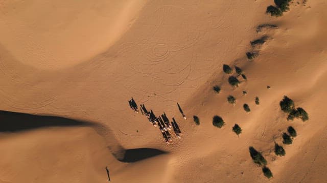 People riding camels in the desert