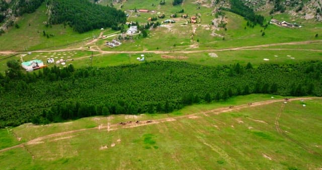 멀리 마을이 보이는 광활한 녹색 풍경
