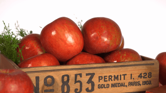 나무 상자에 담긴 신선한 빨간 사과